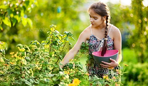 चला, फुलवू आपली बाग, पावसाला होतेय सुरुवात
