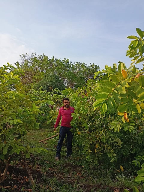 शेतकरी शिबदरा येथील