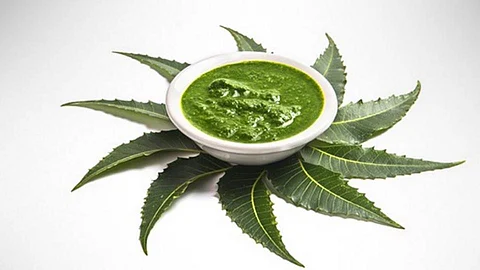neem leaves