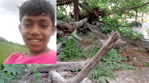 झाडाखाली आंबे वेचणाऱ्या बालकाचा अंगावर फांदी पडून मृत्यू !