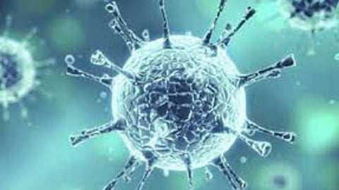 कोरोनाबाधितांचे नमुने पुण्याला रवाना; नवीन स्टेनसंदर्भात अभ्यास