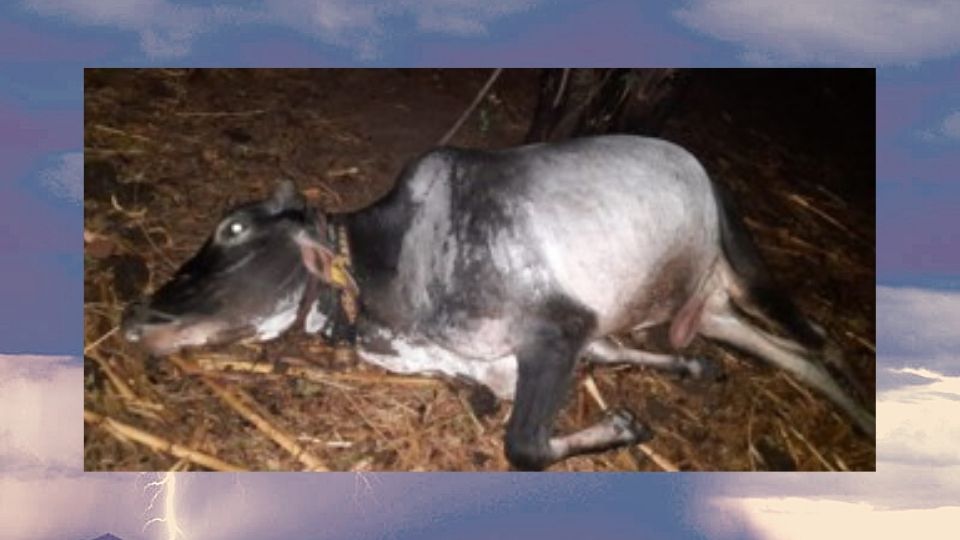 Cloudburst satpuda mountain