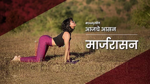 मार्जरासन का करावे? जाणून घ्या फायदे