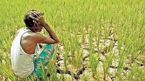 शेतकऱ्यांनो, थांबा... थांबा... आठवडाभर तरी जोरदार पाऊस नाहीच!