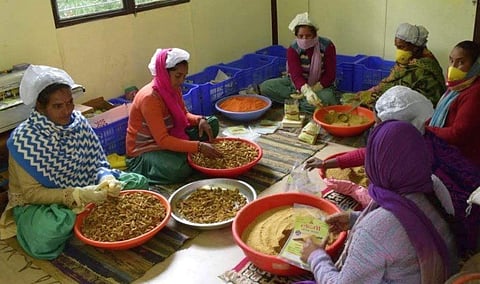 मैत्रीतून सुरू झाला मैत्री गृहोद्योग; व्यवसाय आला नावारूपाला