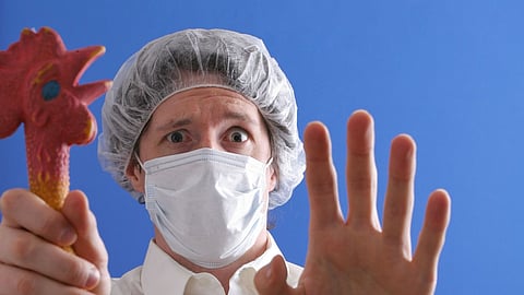 चीनमधून आणखी एक धोका; बर्ड फ्लूच्या नव्या स्ट्रेनची मानवाला लागण