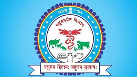 पशुधन महामंडळ ८१ रुपयांत देणार वीर्यमात्रा