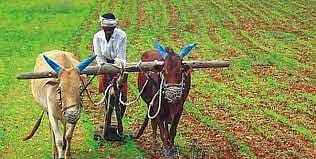 शेतीतील लाकडी अवजारे नामशेष