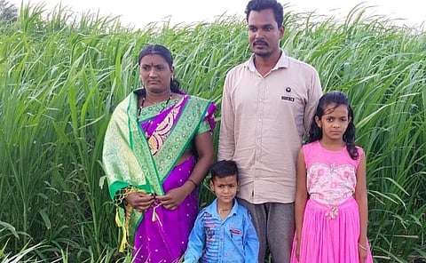 चारा पिकासह लंवाडे परिवार