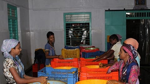 कोणत्याही कामात मागे नसणाऱ्या कोकणच्या लेकी-सुनांचे होतेय कौतुक