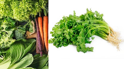 बाजारात आवक झाली कमी; कोथिंबीर, पालेभाज्यांचे दर वाढले