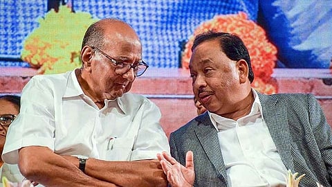शरद पवार शिवसेनेसोबत निवडणूक लढणार नाहीत; नारायण राणेंचा दावा