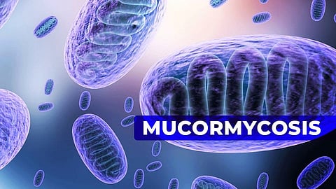 Mucormycosis