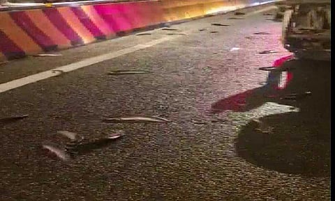 ट्रकचा अपघात, मुंबईच्या रस्त्यावर तडफडत होते मासे