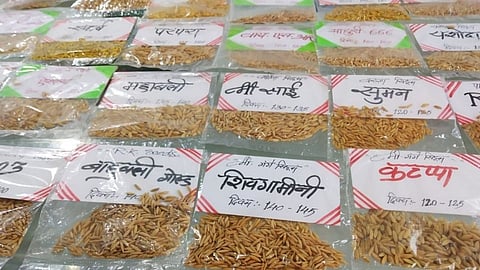 विचित्रच! बाहुबली, कटप्पा व शिवगामीदेवी बाजारात; काय आहे हा प्रकार