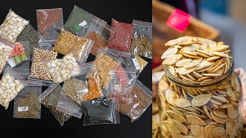 आजऱ्यात सीड बॅंकेचा प्रयोग; महिला करणार 80 बियाण्यांचे संवर्धन