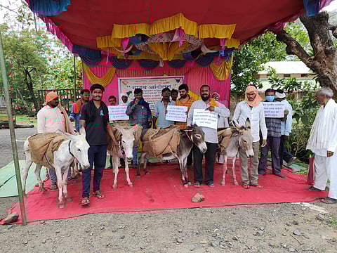 रस्त्याचे काम सुरू करण्यासाठी तेल्हारा येथे गाढव आंदोलन