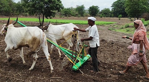 पेरणीसाठी शेतकऱ्याची चाड्यावर मूठ