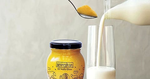 कोमट दुधासोबत चमचाभर तुपाचे फायदे जाणून घ्या