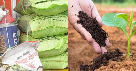 अकोला जिल्ह्यात बियाण्यांचा तुटवडा