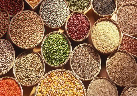 धान्य खरेदीचे उद्दिष्ट वाढवून द्या;भाजप किसान मोर्चाची मागणी