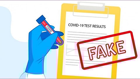 fake corona report
