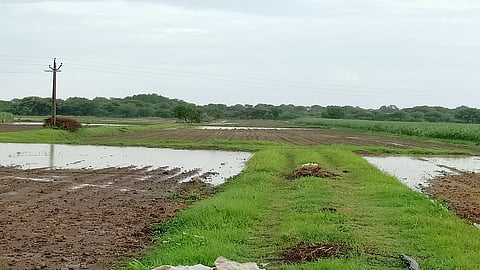 Osmanabad Rain Updates : उस्मानाबाद जिल्ह्यात पावसाची हजेरी