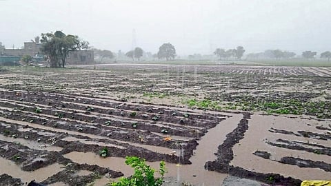 Kokan Rain Update - शास्त्री, सोनवी, गडनदीला पूर