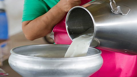 Milk