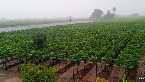 rains in Kasbe Sukene area