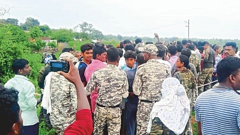 चंद्रपुरात वाघिणीचा दोन बछड्यांसह धुमाकूळ; पळसगाव परिसरात दहशत