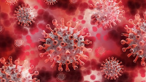 Coronavirus