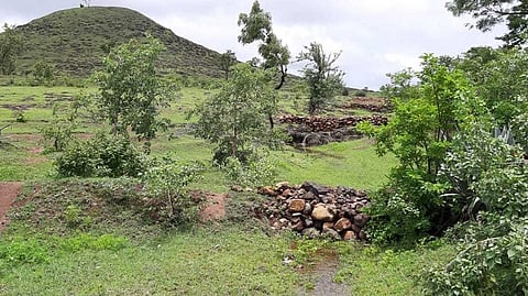 ग्रामस्थांच्या श्रमदानातून बोडका झालेल्या डोंगरावर फुलली हिरवळ !
