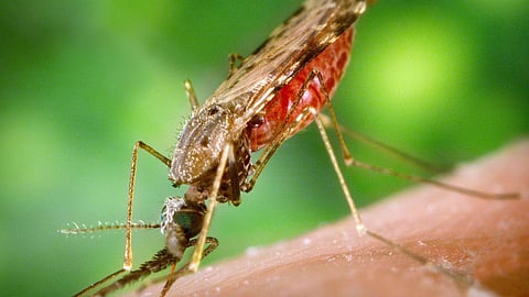 मानसिकतेत बदल! कोरोनानंतर नागरिकांना नकोय कुठलीही चाचणी