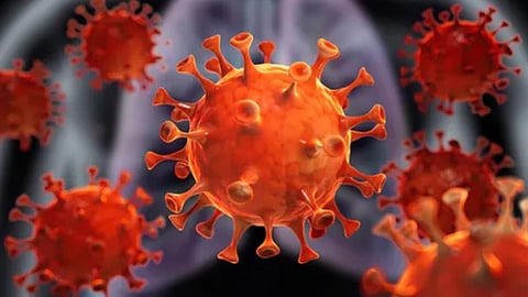 Coronavirus