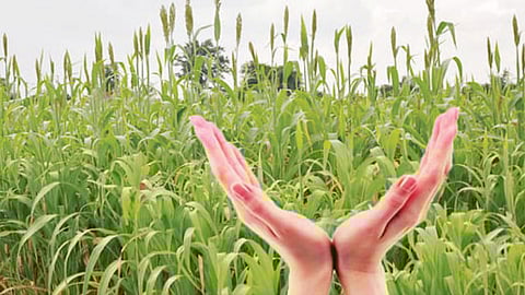 Agriculture Insurance