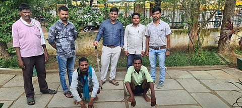 सापाला क्रूरपणे ठार मारत व्हिडिओ व्हायरल करणारे ताब्यात