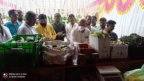 सेंद्रीय भाजीपाला , वसमत