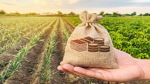 Crop Loan