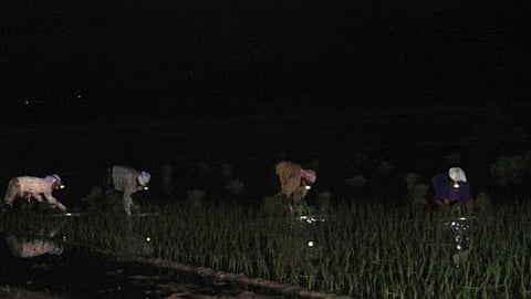 ...अन् शेतकरी धवातात टॉर्च, लाठ्याकाठी, रेनकोट व ताट घेऊन