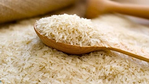 Rice Export Duty Hike: कांद्यानंतर मोदी सरकारने तांदूळ निर्यातीवर लावला २० टक्के कर, जाणून घ्या काय होईल परिणाम