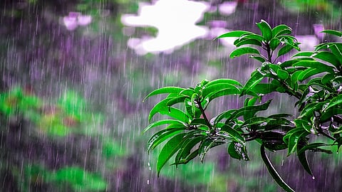 monsoon