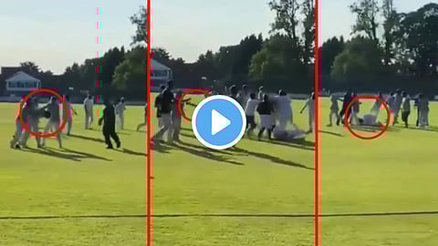 Cricket-Fight-Video