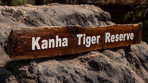 kanha tiger reserve