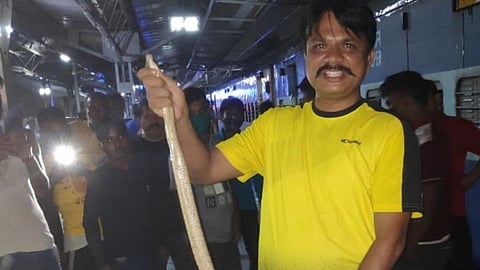 नागपूर : दारासमोरच फलाटावर भला मोठा साप; तोंडून निघाली किंकाळी