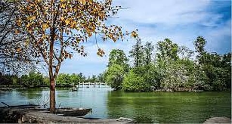 पावसाळ्यात घ्यायचाय बोटींगचा आनंद? मग 'या' ठिकाणांना अवश्य भेट द्या