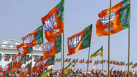 bjp flag