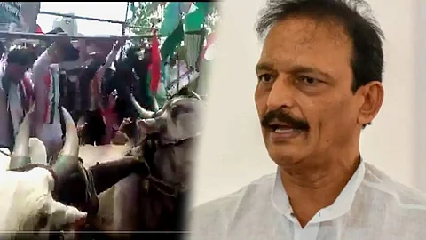 Bhai-Jagtap-bullock-cart