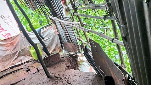 वेतोशीत पडवी खचली; ५ कुटुंबांना स्थलांतराच्या सूचना
