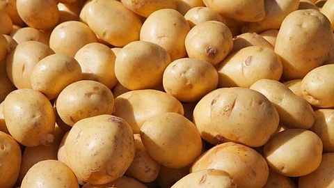 घरच्या घरी बटाट्यापासून तयार करा या डीश